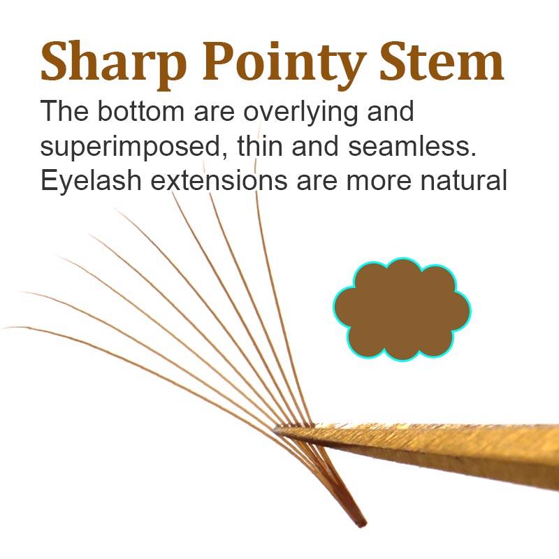 320 Colored Pointy Base Brown  - Eyelash Extension Russian 评论和价格